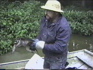 Trapping Snapping Turtles a how to Video